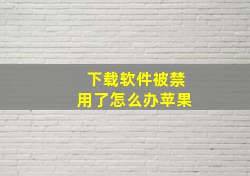 下载软件被禁用了怎么办苹果