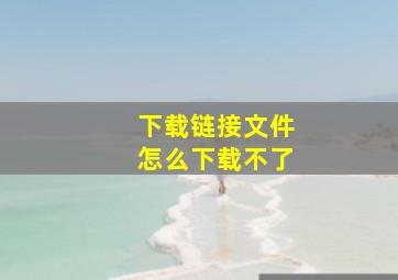 下载链接文件怎么下载不了