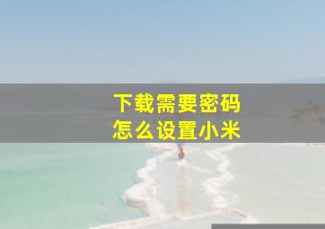 下载需要密码怎么设置小米