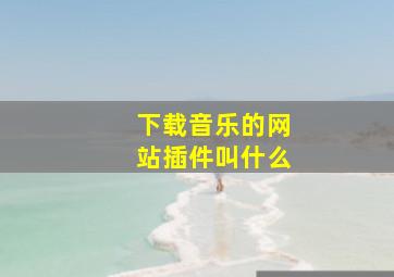 下载音乐的网站插件叫什么