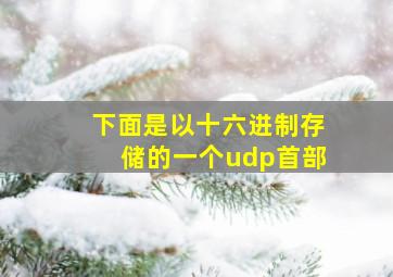 下面是以十六进制存储的一个udp首部