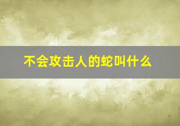 不会攻击人的蛇叫什么