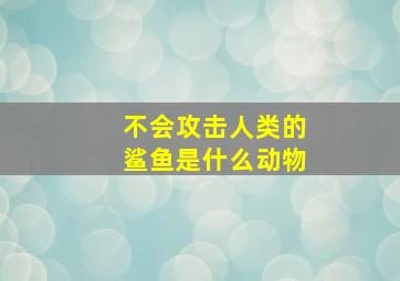 不会攻击人类的鲨鱼是什么动物