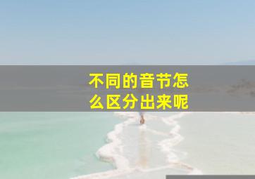 不同的音节怎么区分出来呢