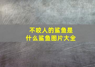 不咬人的鲨鱼是什么鲨鱼图片大全