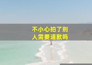 不小心拍了别人需要道歉吗