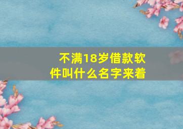 不满18岁借款软件叫什么名字来着