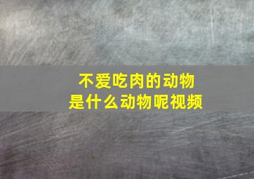 不爱吃肉的动物是什么动物呢视频