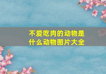 不爱吃肉的动物是什么动物图片大全