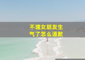 不理女朋友生气了怎么道歉