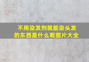 不用染发剂就能染头发的东西是什么呢图片大全