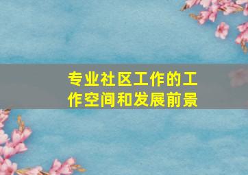 专业社区工作的工作空间和发展前景