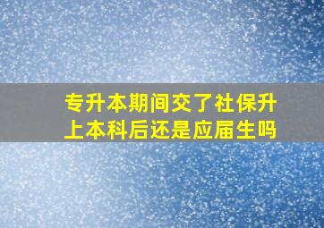 专升本期间交了社保升上本科后还是应届生吗