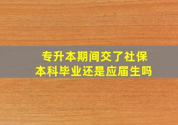 专升本期间交了社保本科毕业还是应届生吗