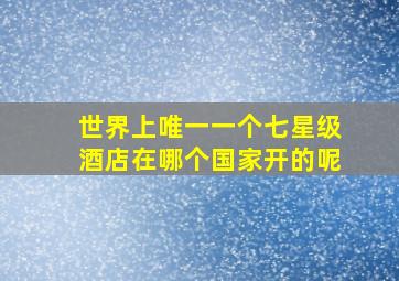 世界上唯一一个七星级酒店在哪个国家开的呢