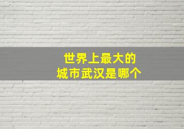 世界上最大的城市武汉是哪个