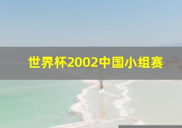 世界杯2002中国小组赛