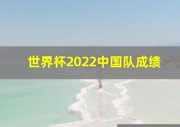 世界杯2022中国队成绩