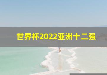 世界杯2022亚洲十二强