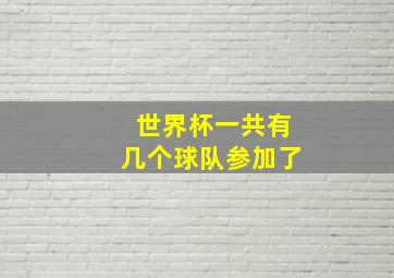 世界杯一共有几个球队参加了