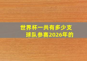 世界杯一共有多少支球队参赛2026年的