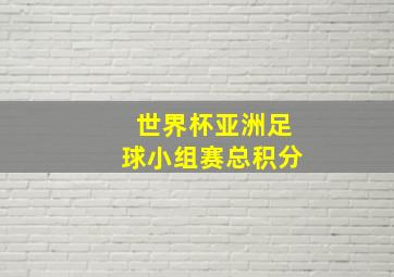 世界杯亚洲足球小组赛总积分