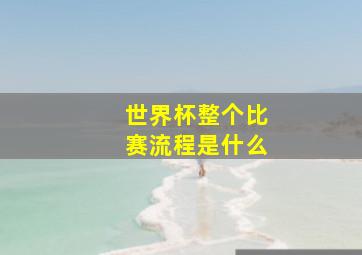 世界杯整个比赛流程是什么