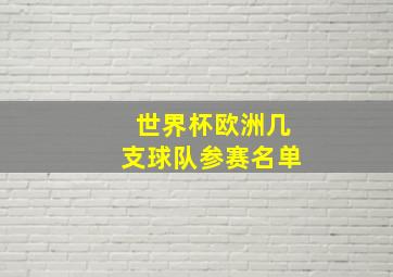 世界杯欧洲几支球队参赛名单