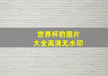 世界杯的图片大全高清无水印