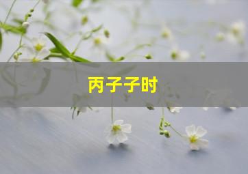 丙子子时