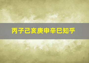 丙子己亥庚申辛巳知乎