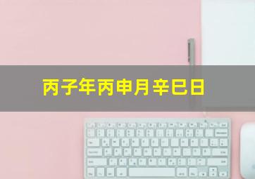 丙子年丙申月辛巳日