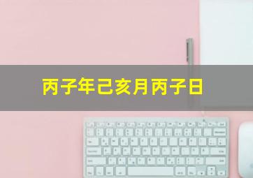 丙子年己亥月丙子日