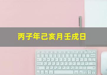 丙子年己亥月壬戌日