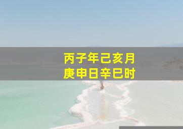 丙子年己亥月庚申日辛巳时