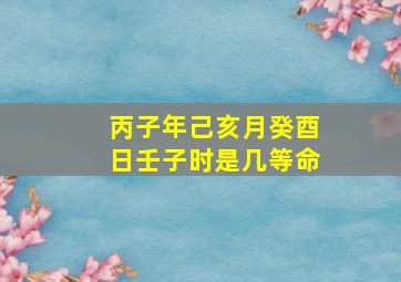 丙子年己亥月癸酉日壬子时是几等命