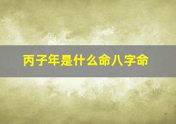 丙子年是什么命八字命