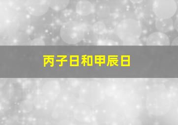 丙子日和甲辰日