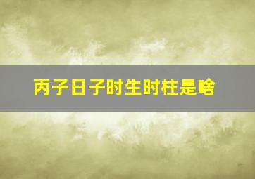 丙子日子时生时柱是啥