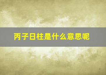 丙子日柱是什么意思呢