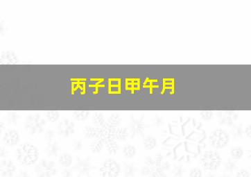 丙子日甲午月