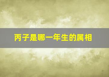 丙子是哪一年生的属相