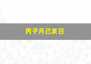 丙子月己亥日