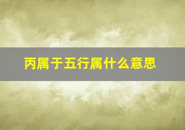 丙属于五行属什么意思