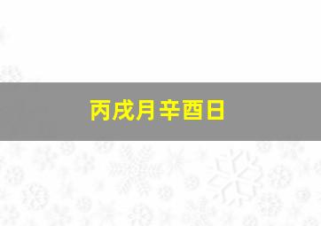 丙戌月辛酉日