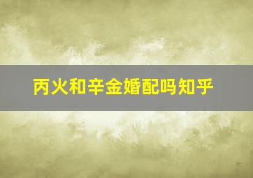 丙火和辛金婚配吗知乎