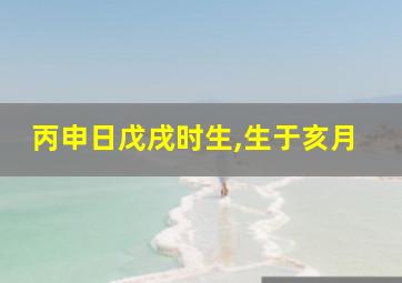 丙申日戊戌时生,生于亥月