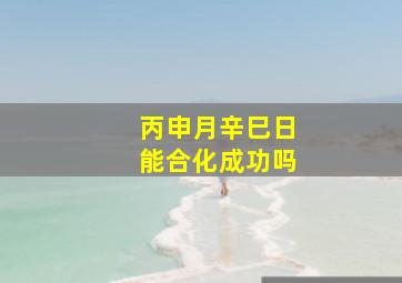 丙申月辛巳日能合化成功吗