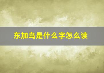 东加鸟是什么字怎么读