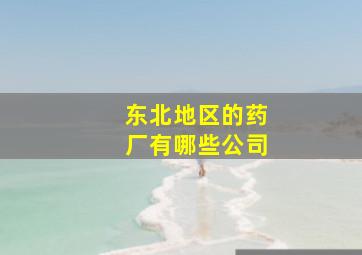 东北地区的药厂有哪些公司